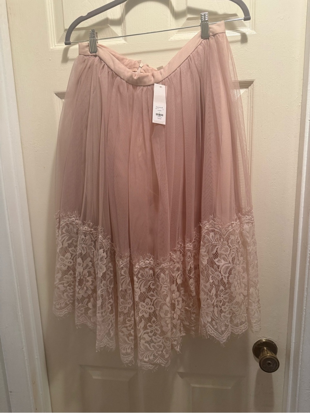 Francesca's Collections Blush Pink Tulle Skirt with Lace Hem